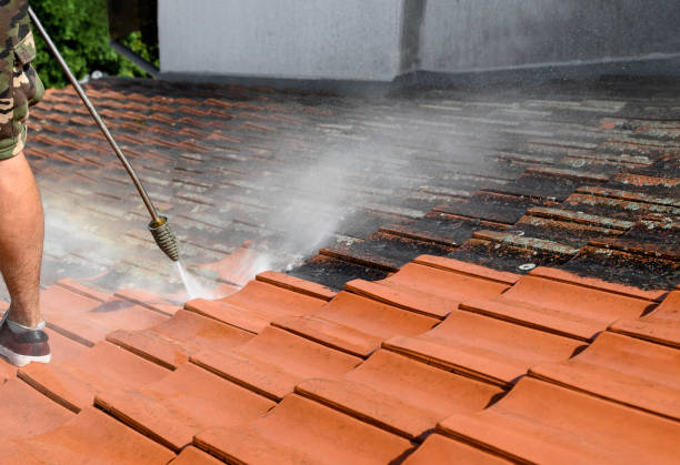 Best Roof Power Washing Services  in Mitchell, IL