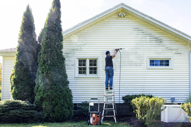 Best Pressure Washing Services Near Me  in Mitchell, IL
